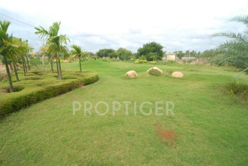 Images for Main Other of Blue Valley Smilee Anandavana I Images for Main Other of Blue Valley Smilee Anandavana I