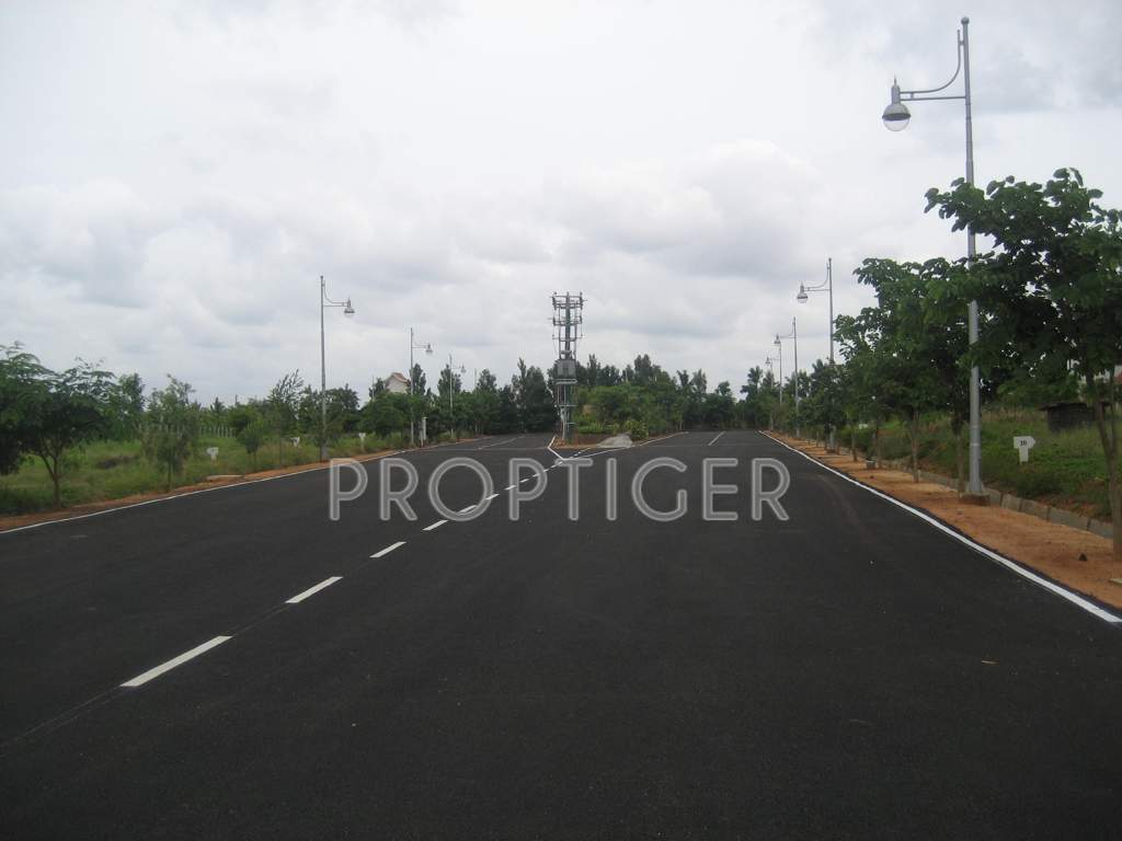 Images for Main Other of Blue Valley Smilee Anandavana I