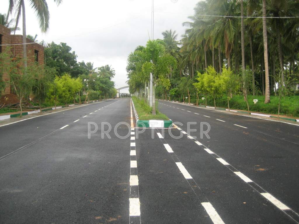 Images for Main Other of Blue Valley Smilee Anandavana I