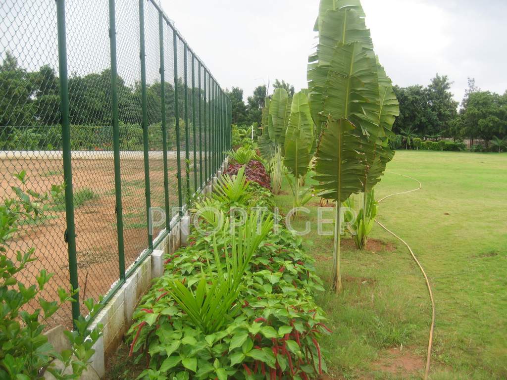 Images for Main Other of Blue Valley Smilee Anandavana I