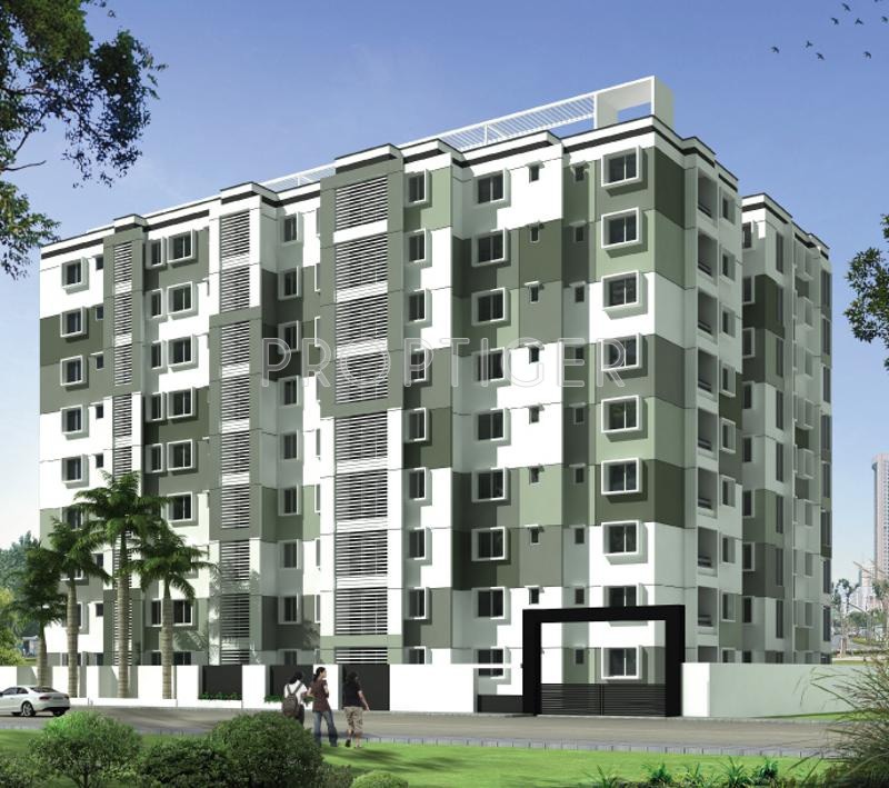 Images for Elevation of Prithvi Thirumala Anemone