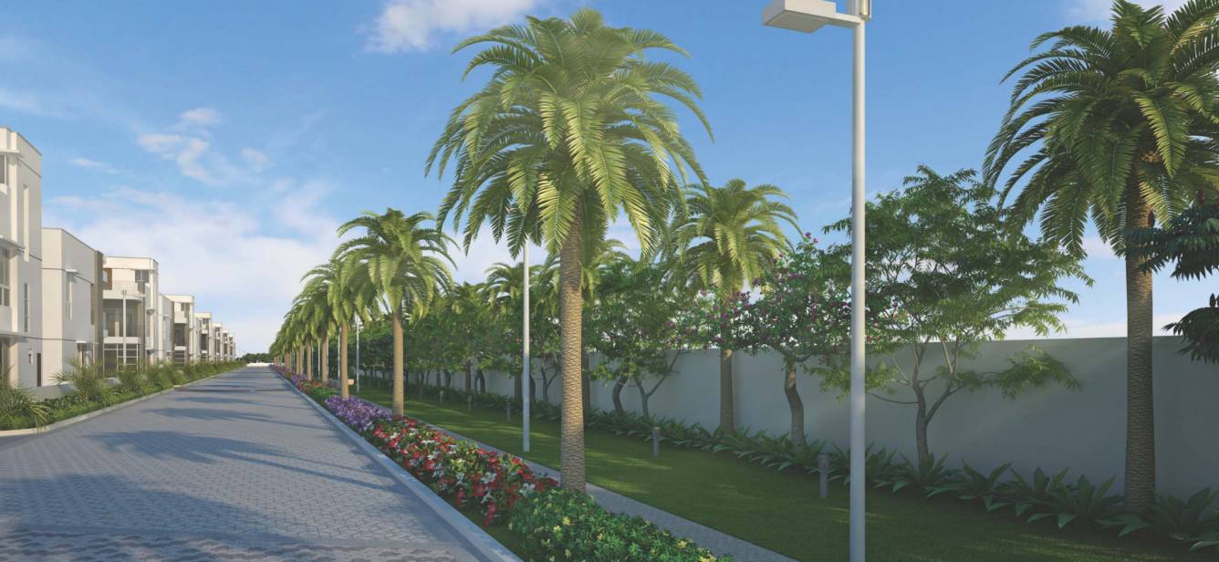 Images for Elevation of Poulomi Aristos