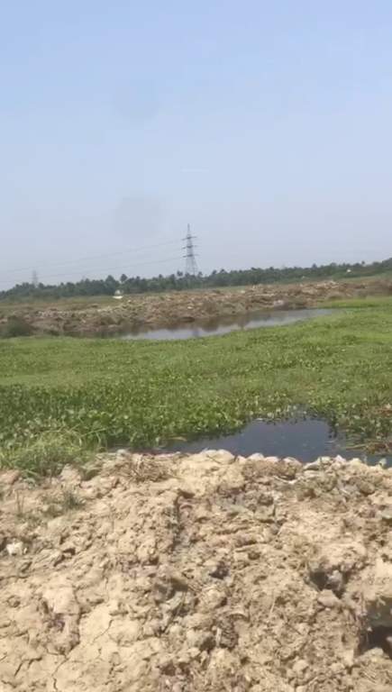  south city sundarsan abasan Plot