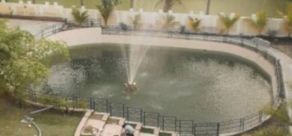  tolly-lakeside Swimming Pool