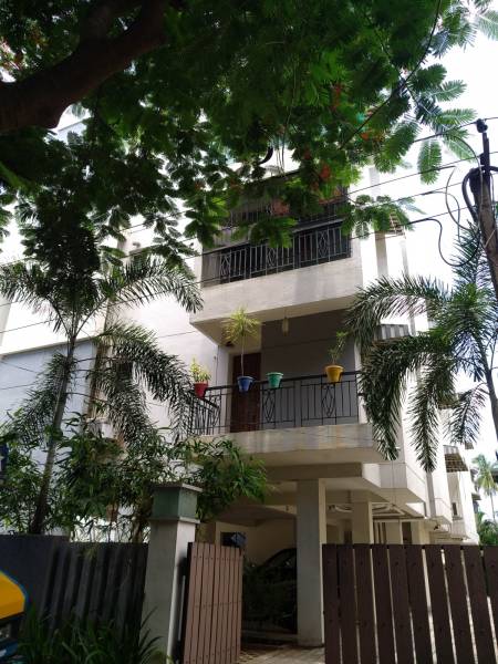  dheeraikya Elevation