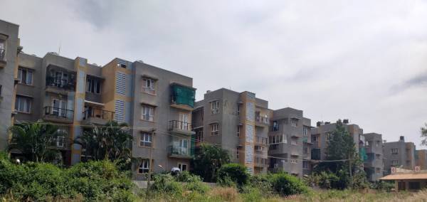  collective Elevation