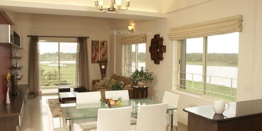 Images for Main Other of Century Celeste