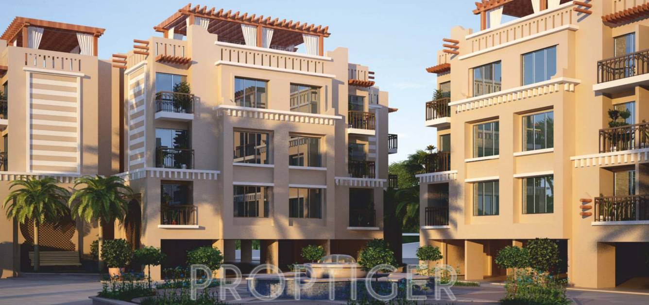 Images for Elevation of Mane Palms