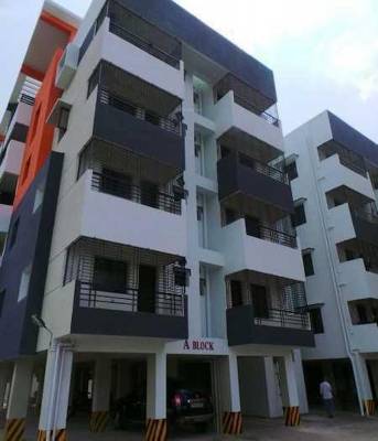 flamingo Images for Project Images for Project