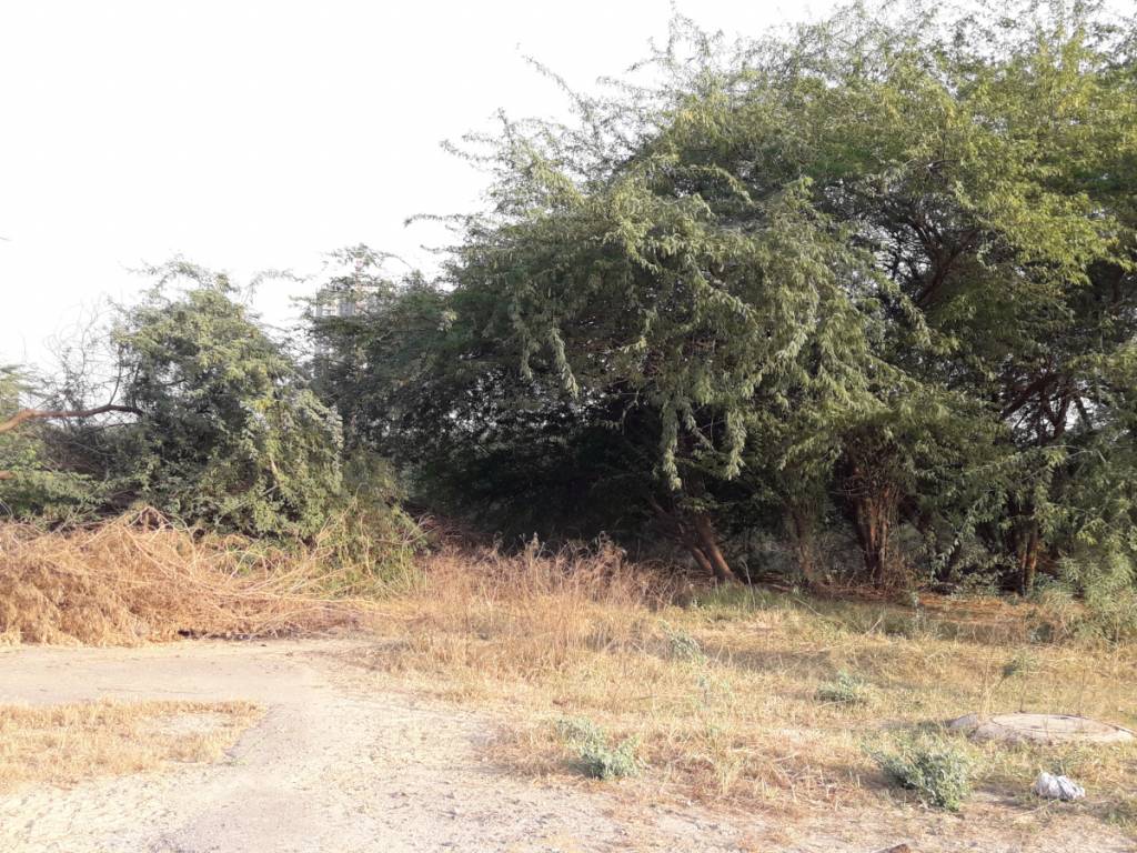 Images for mainOther