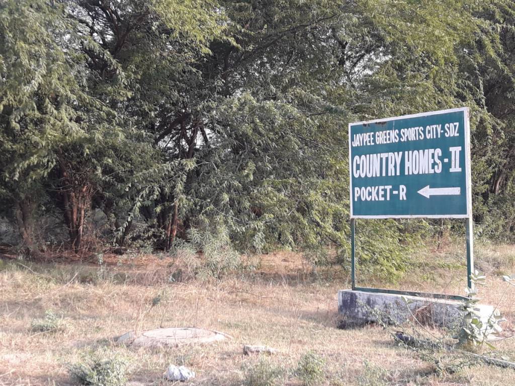 Images for mainOther