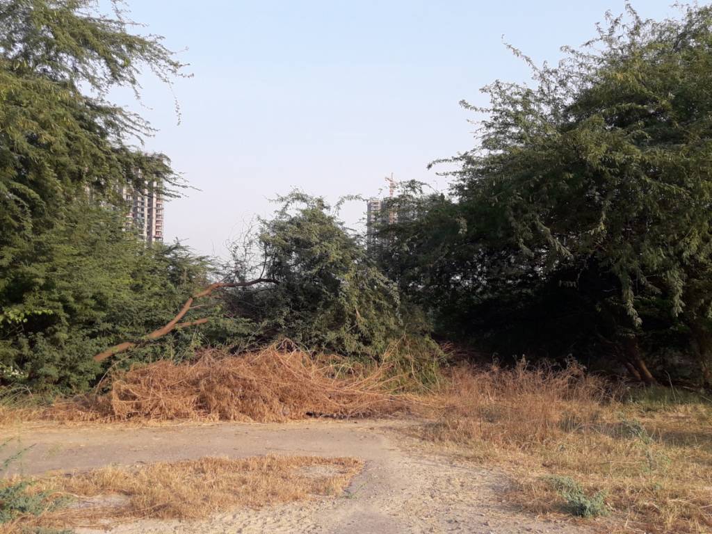 Images for mainOther