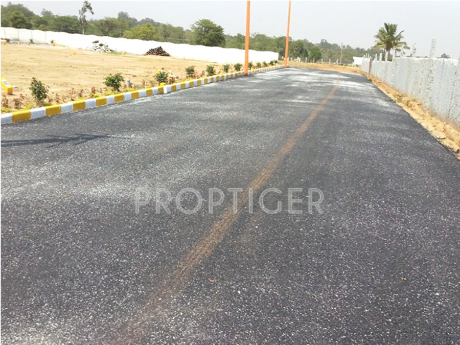  samartha Images for Main Other of Bhoo Samartha