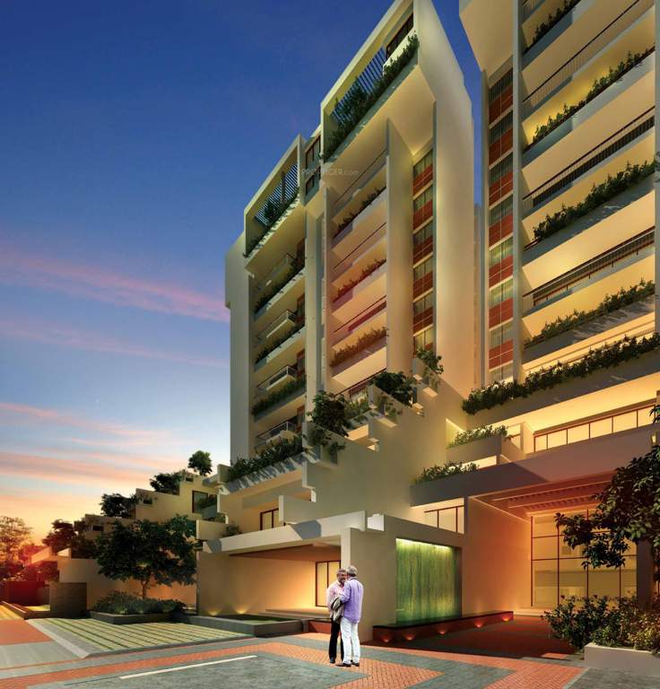 palm woods Images for Elevation of Spectra Palmwoods