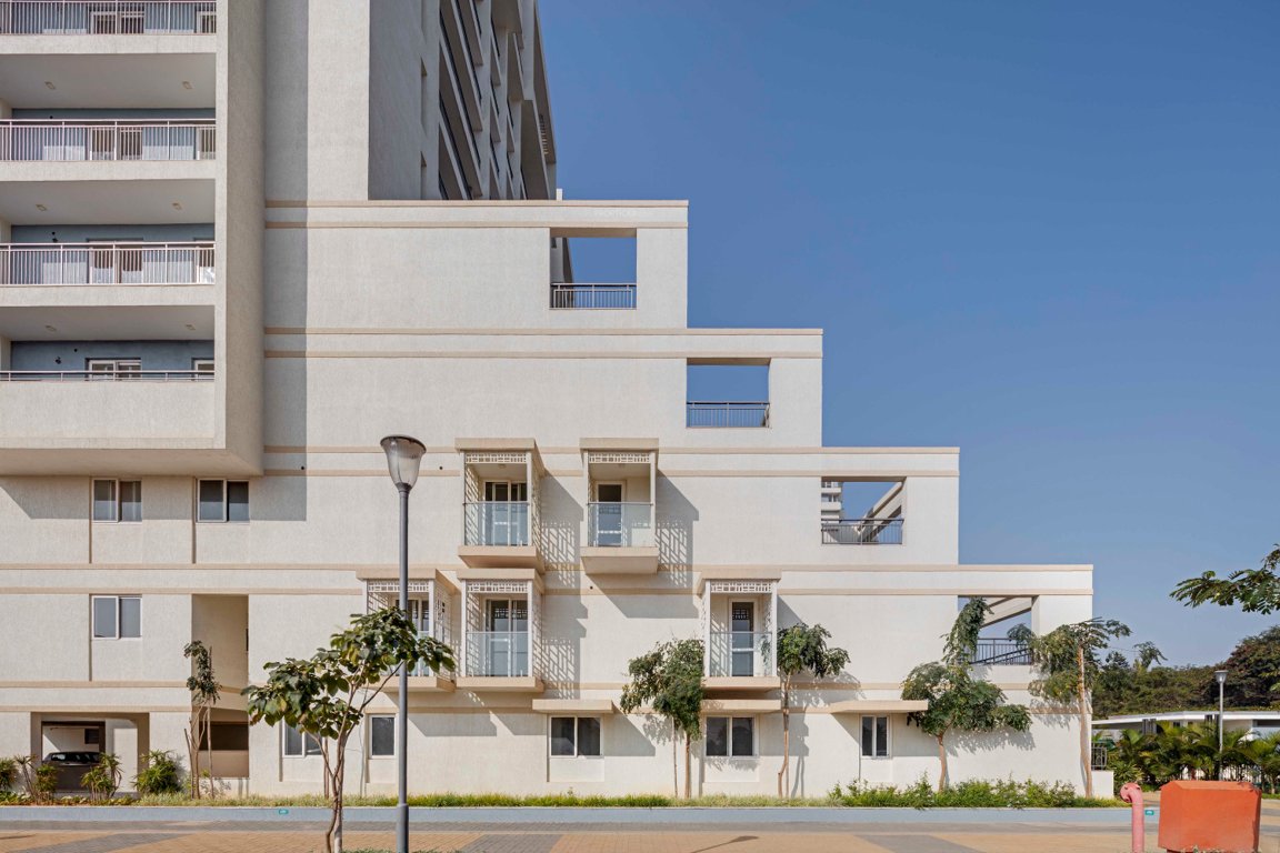 palm woods Images for Project