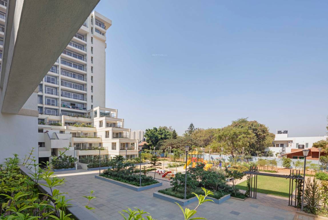 palm woods Images for Project