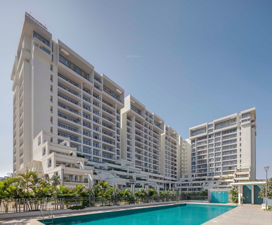 palm woods Images for Project