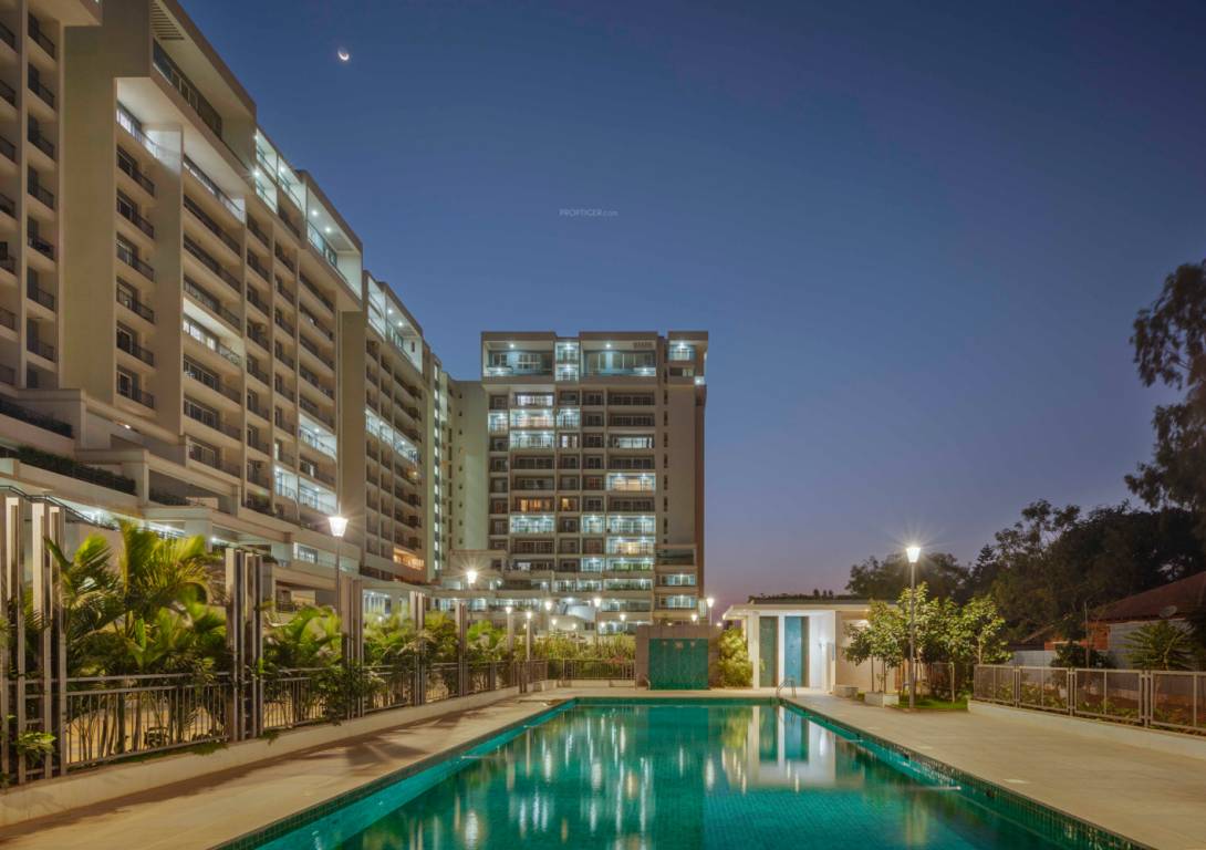 palm woods Images for Project