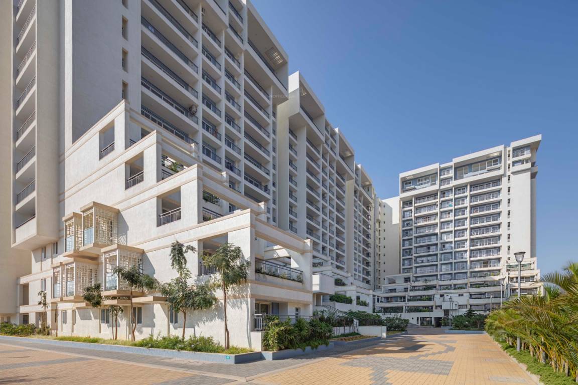 palm woods Images for Project