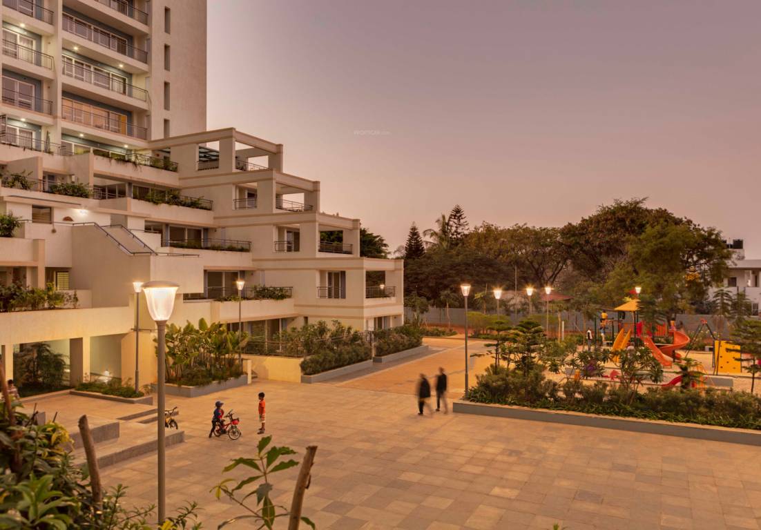 palm woods Images for Project