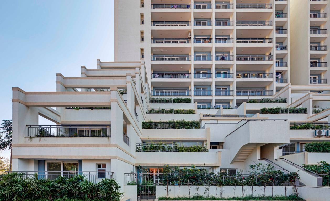 palm woods Images for Project