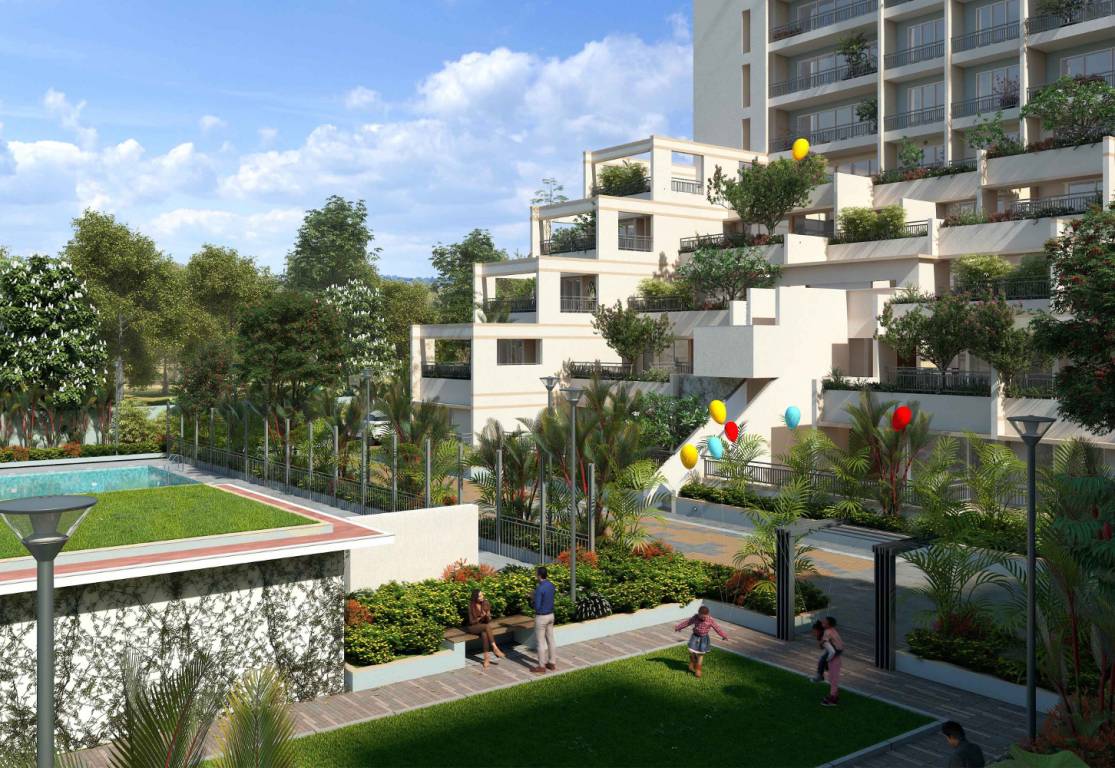 palm woods Images for Project