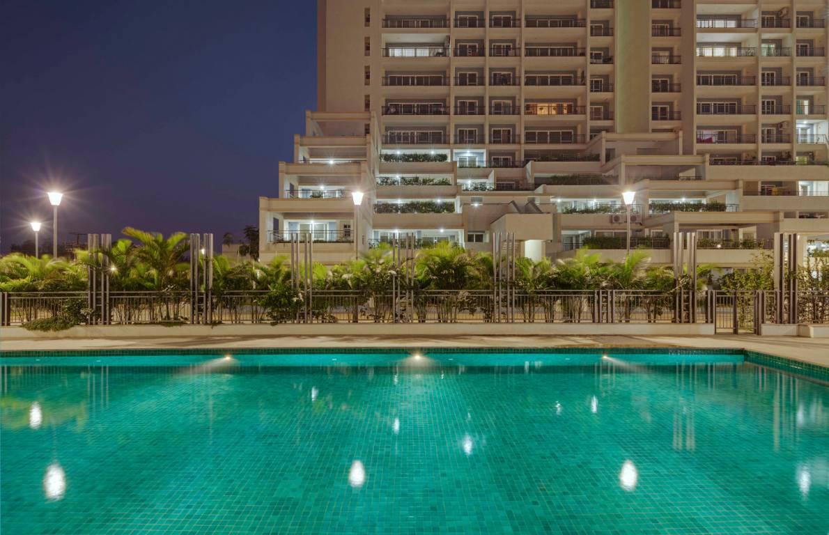 palm woods Images for Project