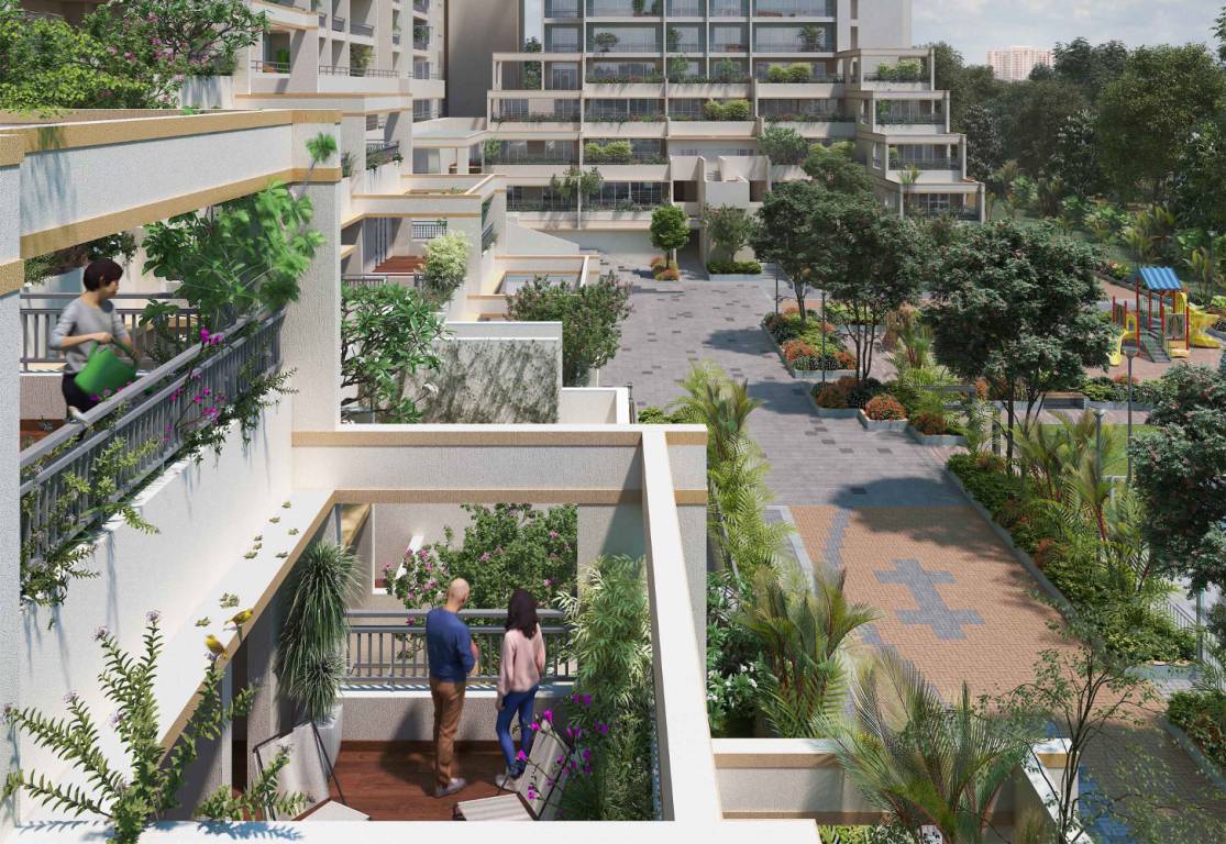 palm woods Images for Project