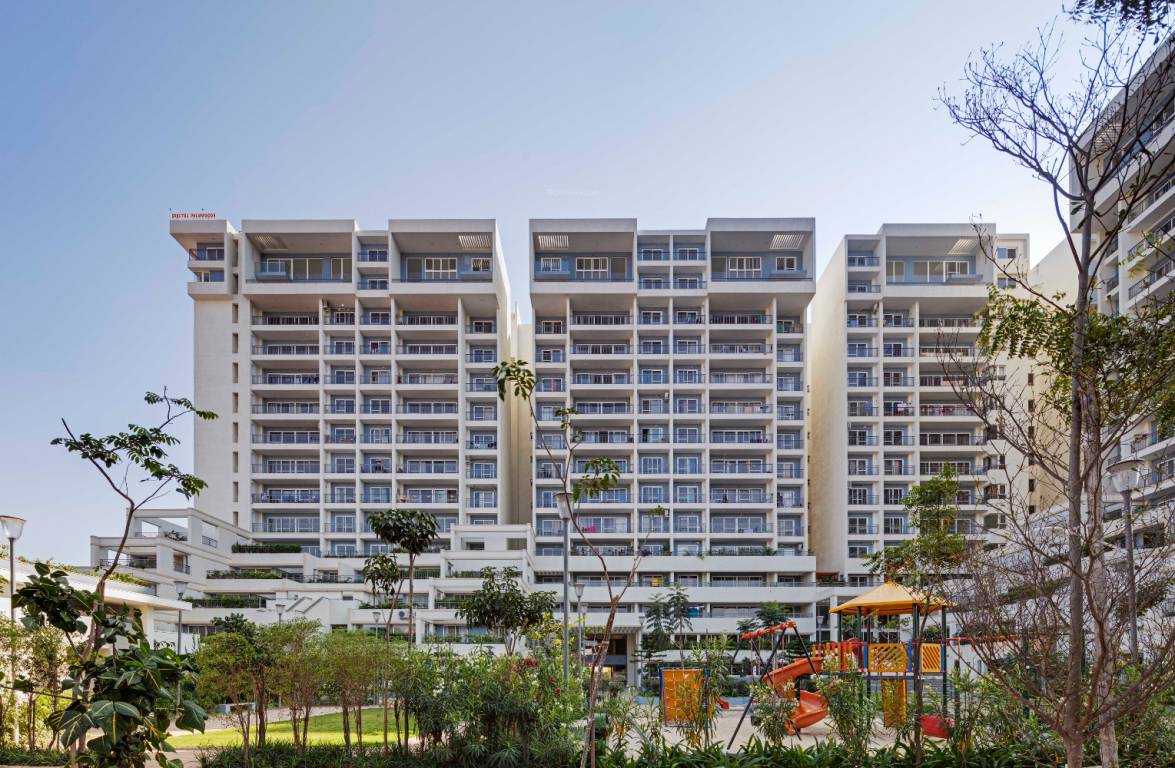 palm woods Images for Project