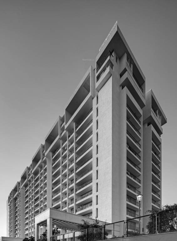 palm woods Images for Project