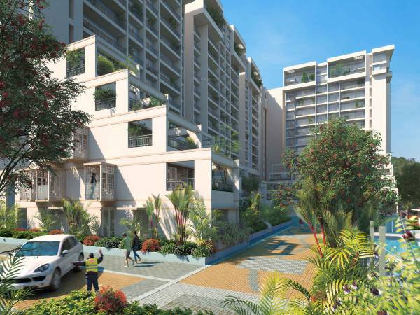 Images for Project palm-woods Images for Project