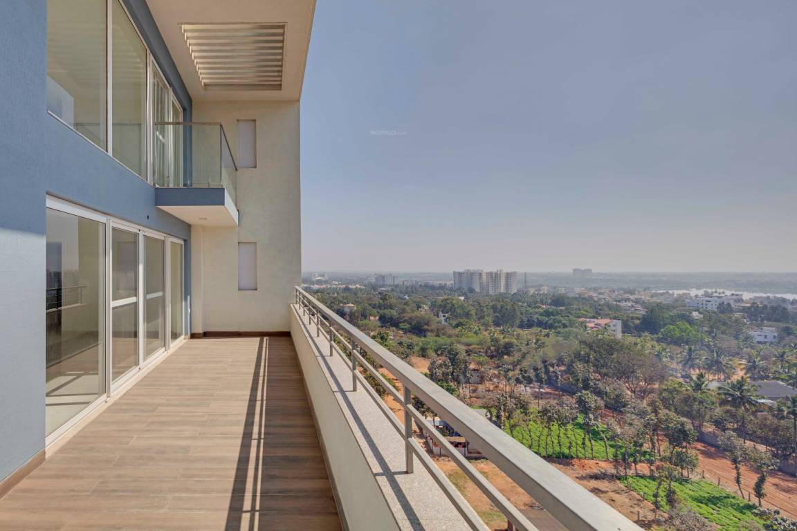 palm woods Images for mainOther