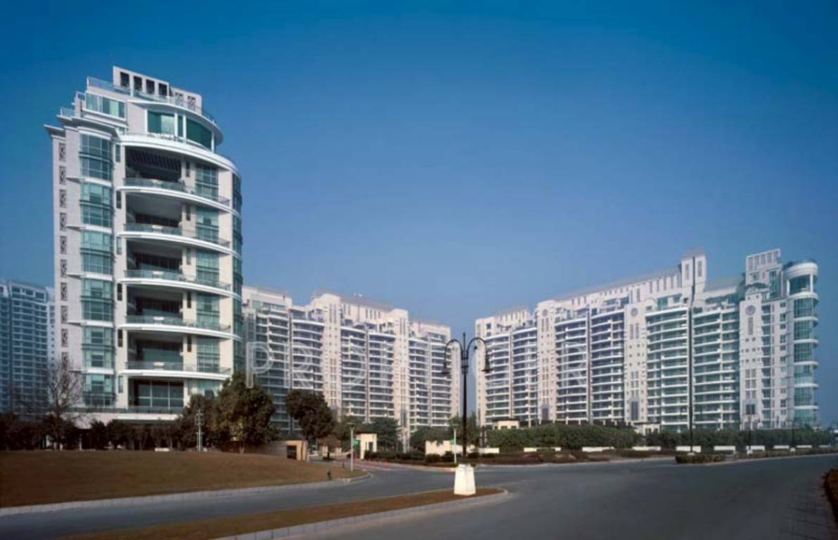 Images for Elevation of DLF The Aralias