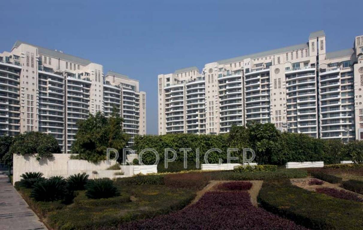 Images for Elevation of DLF The Aralias