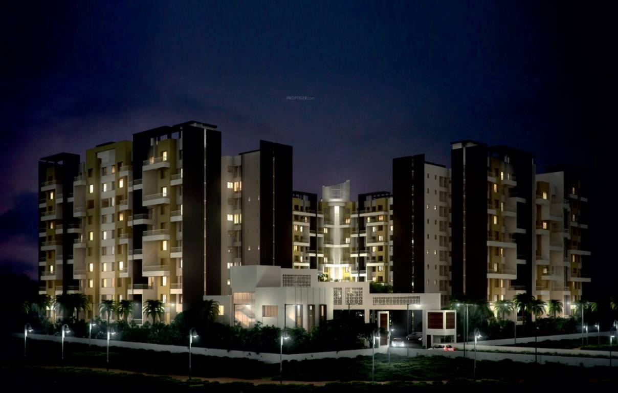 Images for Elevation of Elite Silverio