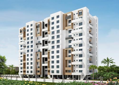  begonia Images for Elevation of Kohinoor Begonia