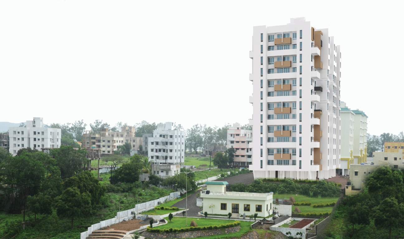  begonia Images for Elevation of Kohinoor Begonia