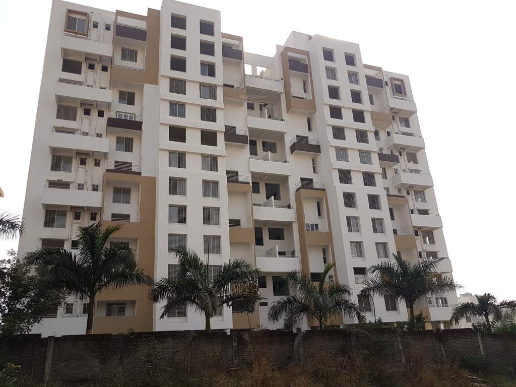  begonia Images for Project