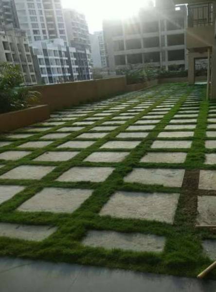  hira-laxmi-heights Paved Compound