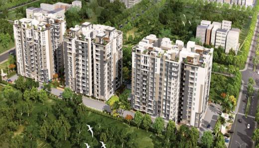 exclusive-444 Elevation Elevation