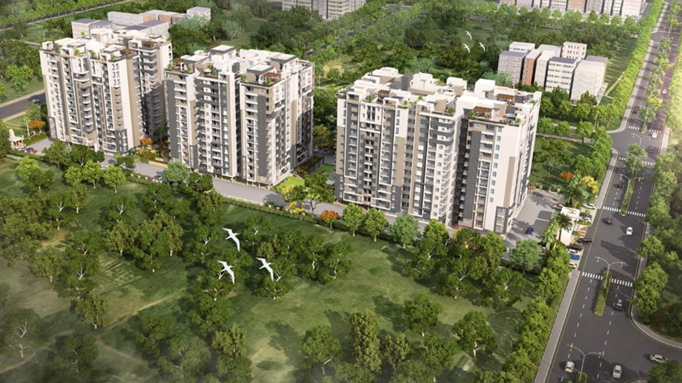  exclusive 444 Images for Elevation of VN Exclusive 444