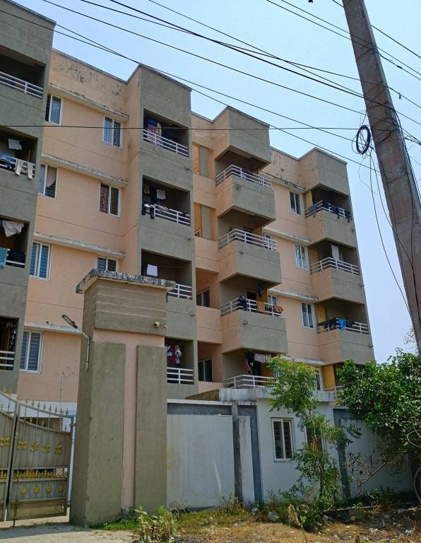  coral springs Elevation