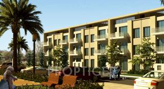 Project Image Project Image