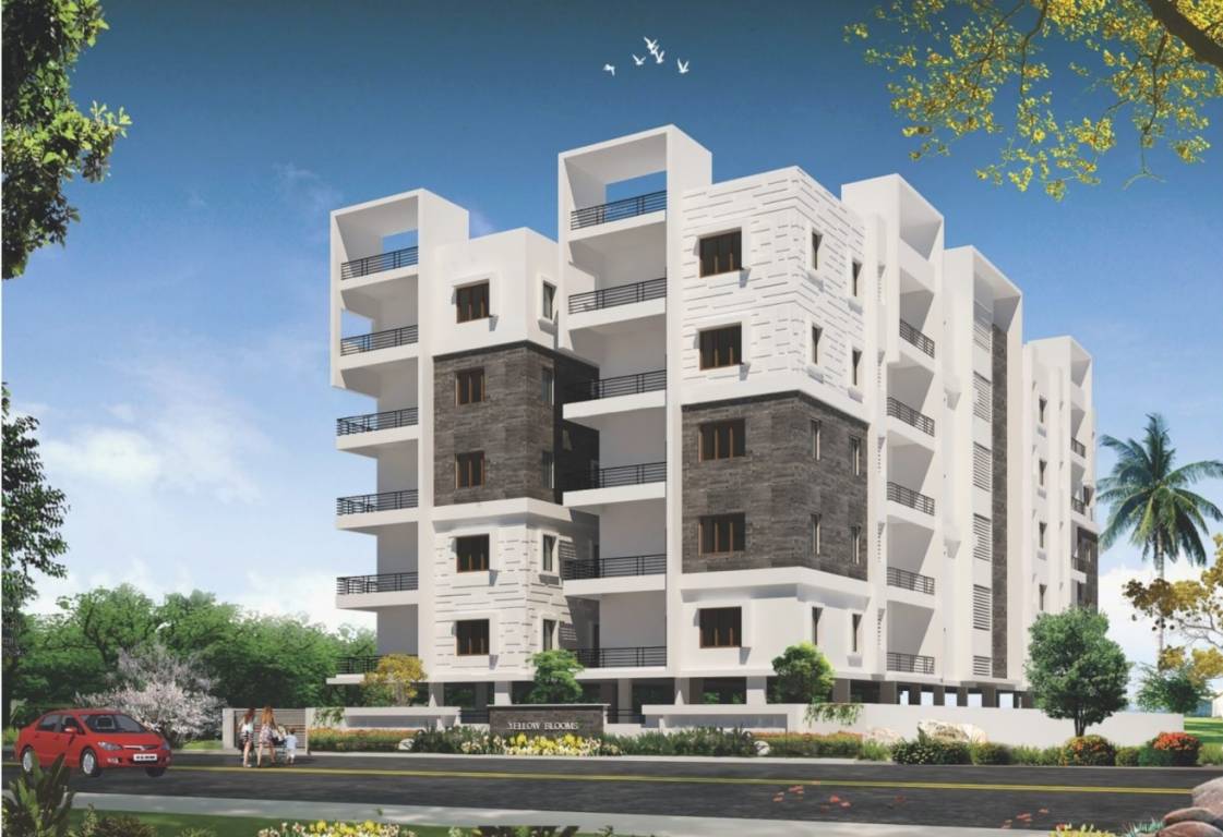 Elevation yellow blooms Elevation