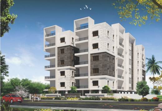 yellow-blooms Elevation Elevation