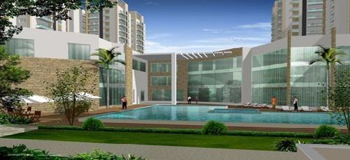  yellow-blooms Images for amenities