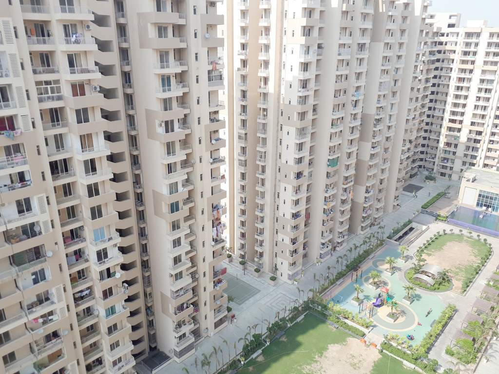  platinum zeta 1 Images for Elevation of Ace Platinum Zeta 1