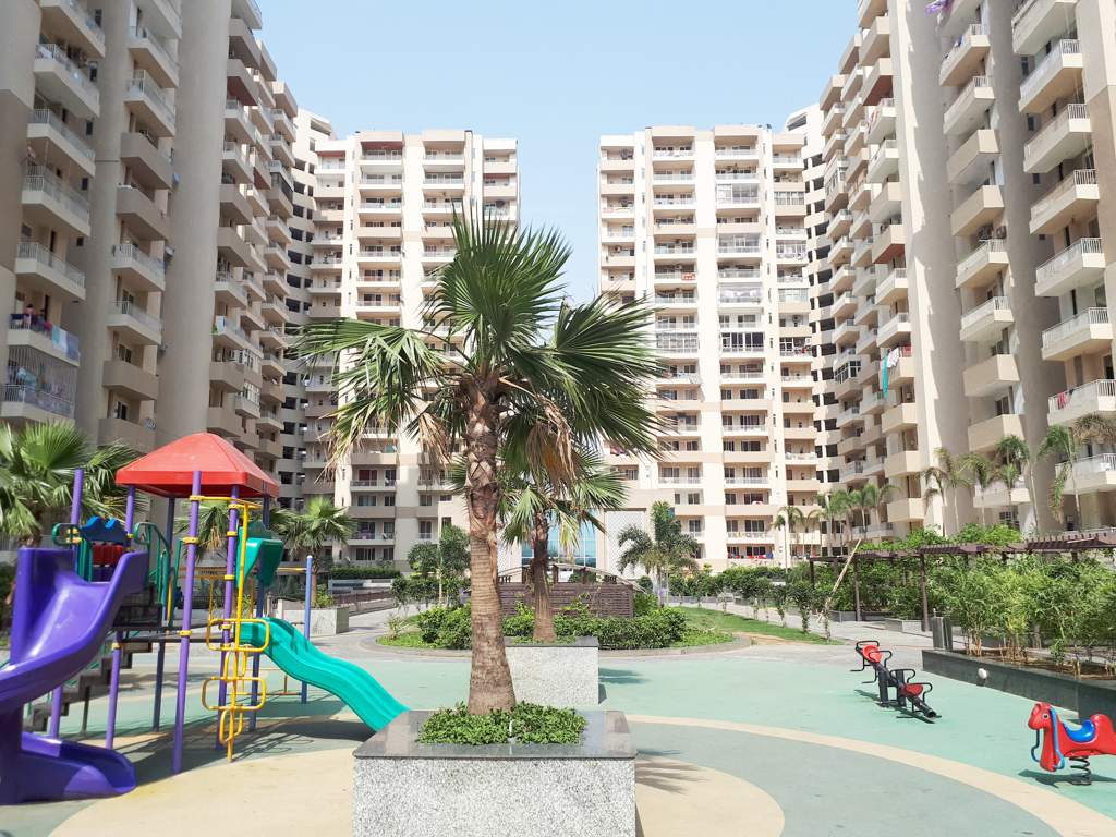  platinum zeta 1 Images for Elevation of Ace Platinum Zeta 1