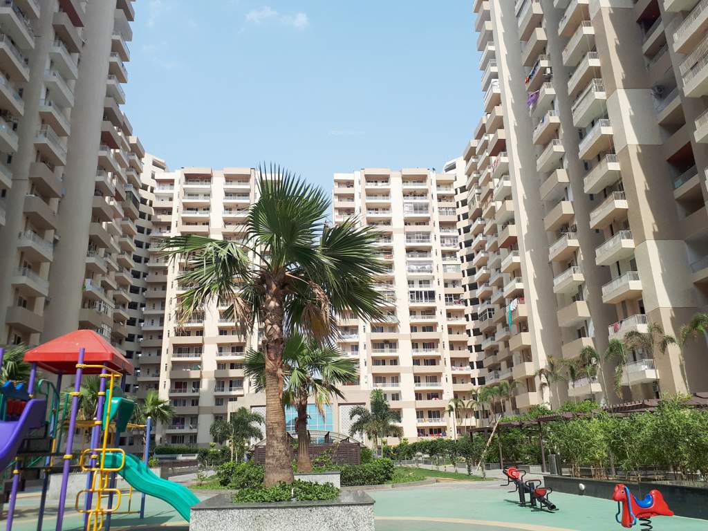  platinum zeta 1 Images for Elevation of Ace Platinum Zeta 1