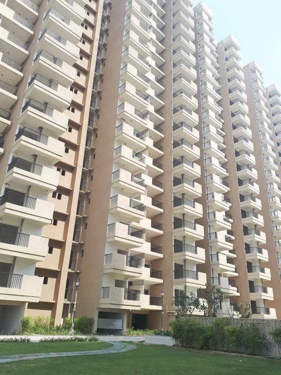  platinum zeta 1 Images for Elevation of Ace Platinum Zeta 1